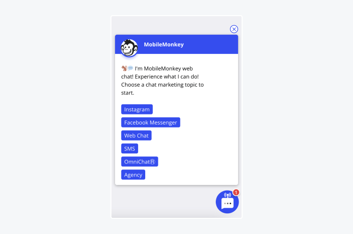 mobile monkey chatbot window sample