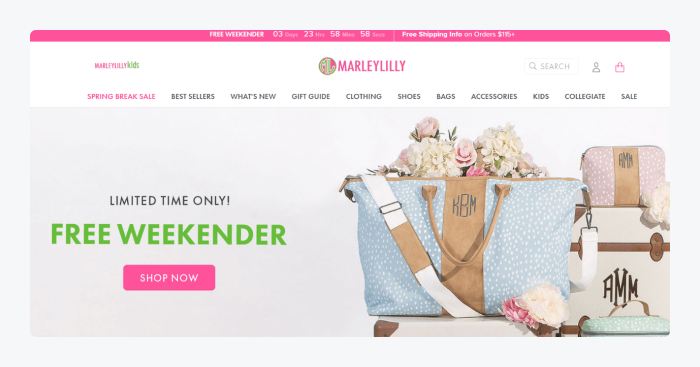 Marleylilly website image 1