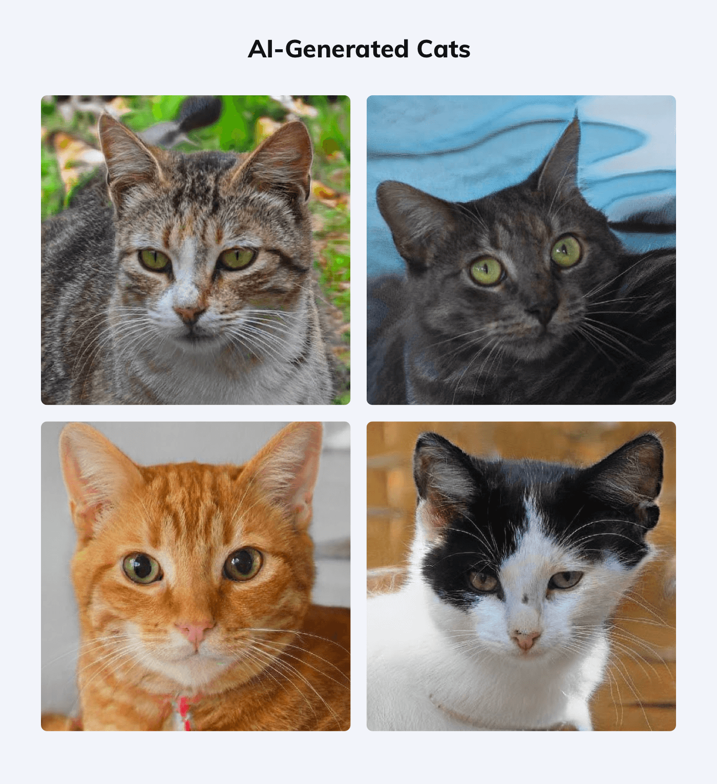 Some examples of AI-generated cats