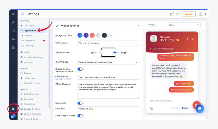 Widget appearance settings on Tidio platform