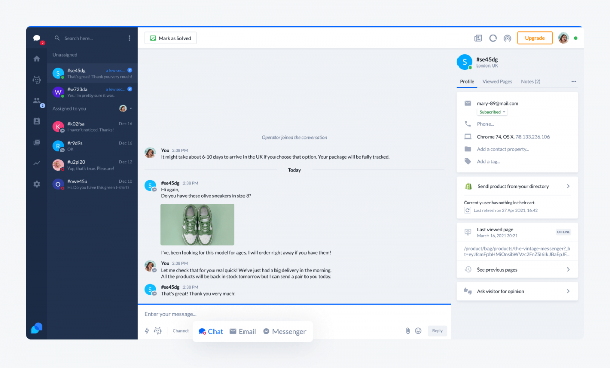 Snapshot of the Tidio conversation view